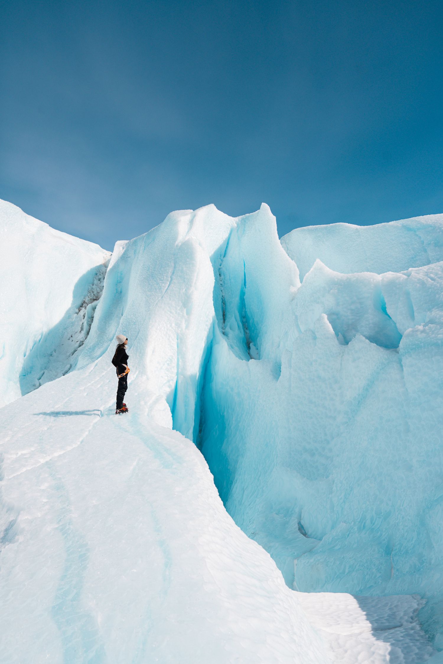 Customise Your Polar Adventure